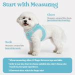 rabbitgoo Dog Harness Small Medium Sized and Leash Set, Step in Soft Light Puppy Vest, Breathable Mesh Pet Harness, Reflective for Safe Easy Walking, Mint Blue L