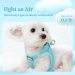 rabbitgoo Dog Harness Small Medium Sized and Leash Set, Step in Soft Light Puppy Vest, Breathable Mesh Pet Harness, Reflective for Safe Easy Walking, Mint Blue L