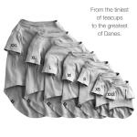 Pet Passion Toby II - The Perfect Tee, 3 Pack Short Sleeve Pet T-Shirt 100% Organic Cotton Tees Clothes for Small, Medium, Large Dogs​​, Gray Ombre, Small (10-25 lbs)