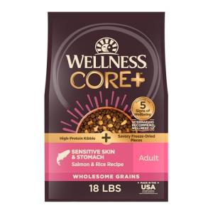 Wellness CORE+ Sensitive Skin & Stomach Dry Dog Food with Freeze Dried Pieces, Wholesome Grains, High Protein, Natural, Salmon & Rice Recipe, (18-Pound Bag)