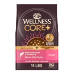 Wellness CORE+ Sensitive Skin & Stomach Dry Dog Food with Freeze Dried Pieces, Wholesome Grains, High Protein, Natural, Salmon & Rice Recipe, (18-Pound Bag)