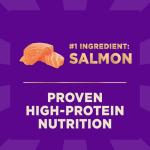 Wellness CORE+ Sensitive Skin & Stomach Dry Dog Food with Freeze Dried Pieces, Wholesome Grains, High Protein, Natural, Salmon & Rice Recipe, (18-Pound Bag)