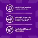 Wellness CORE+ Sensitive Skin & Stomach Dry Dog Food with Freeze Dried Pieces, Wholesome Grains, High Protein, Natural, Salmon & Rice Recipe, (18-Pound Bag)