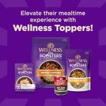 Wellness CORE+ Sensitive Skin & Stomach Dry Dog Food with Freeze Dried Pieces, Wholesome Grains, High Protein, Natural, Salmon & Rice Recipe, (18-Pound Bag)