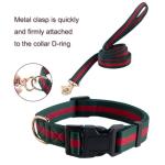 Premium Dog Collar and Leash,Safety and Durable Pet Collars Leashes,Luxury Fashion Dog Collar Gift Set for Medium Dogs