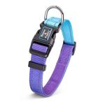 Roses&Poetry Reflective Small Dog Collar and Leash Set, Puppy Collars and Leashes with Gradient Violet, Adjustable Durable Nylon Soft Pet Leash and Collar for Girl and Boy Dogs （Violet-S