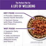 Wellness Complete Health Minced Adult Wet Cat Food, Natural, Protein-Rich, Grain Free, 3 Ounce, 24 Pack, (Salmon Entrée)
