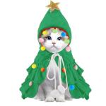 Vellibring Cat Christmas Outfit Green Pet Cloak with Hat with Star and Pompoms Puppy Cape Clothes Xmas Tree Elf Costumes Party Pet Supplies Accessories for Small Dogs Cats Pet Santa Presents
