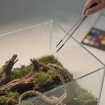 VraySang 2 PCS 10.6" Stainless Steel Reptile Feeding Tongs with Rubber Tips, Straight & Curved Tweezers for Bearded Dragon Tank Accessories, Lizard Snake Enclosure, Aquarium Crafts- Terrarium Supplies