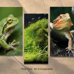 VraySang 2 PCS 10.6" Stainless Steel Reptile Feeding Tongs with Rubber Tips, Straight & Curved Tweezers for Bearded Dragon Tank Accessories, Lizard Snake Enclosure, Aquarium Crafts- Terrarium Supplies