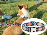 Dog Collar and Leash Set, Quick Release Buckle Soft Durable Print Puppy Collars Adjustable for Small Medium Large Pet Male Dogs Boy Cat Rhombus L