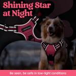 rabbitgoo Dog Harness for Large Dogs, No Pull Pet Vest with 3 Buckles, Adjustable Soft Padded Pet Harness with Easy Control Handle and Reflective Strips, Pink, L