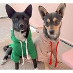 Dog Hoodie Basic Sweater Coat Cute - Frog Shape Warm Jacket Pet Cold Weather Clothes Outfit Outerwear for Cats Puppy Small Medium Dogs