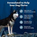 Blue Buffalo Wilderness Natural High-Protein Dry Food for Adult Dogs, Chicken Recipe, 24-lb. Bag