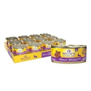 Wellness Complete Health Minced Adult Wet Cat Food, Natural, Protein-Rich, Grain Free, 5.5 Ounce, 24 Pack, (Turkey & Salmon Entrée)