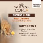 Wellness CORE+ Digestive Health Pate Adult Wet Cat Food, Natural, Protein-Rich, Grain Free, 3 Ounce, 12 Pack (Chicken)