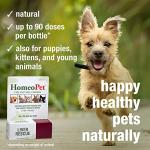 HomeoPet Liver Rescue, Safe and Natural Liver-Support Supplement for Cats, Dogs, and Other Small Animals, 15 Milliliters