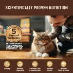 Wellness CORE+ Digestive Health Pate Adult Wet Cat Food, Natural, Protein-Rich, Grain Free, 3 Ounce, 12 Pack (Turkey)