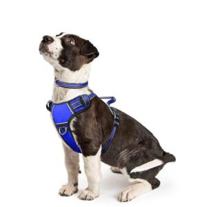 WINSEE Dog Harness No Pull, Pet Harnesses with Dog Collar, Adjustable Reflective Oxford Outdoor Vest, Front/Back Leash Clips for Small, Medium, Large, Extra Large Dogs, Easy Control Handle for Walking