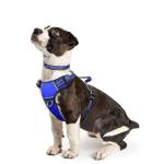 WINSEE Dog Harness No Pull, Pet Harnesses with Dog Collar, Adjustable Reflective Oxford Outdoor Vest, Front/Back Leash Clips for Small, Medium, Large, Extra Large Dogs, Easy Control Handle for Walking