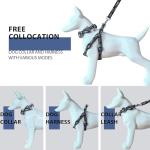Dog Collar and Harness with Leash Set, Premium Breathable Harnesses for Girl Boy Dogs, No Pull Easy Walking Pet Harness, Black, M