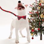 azuza Christmas Buffalo Dog Collar and Leash Set, Classic Plaid Collar with Removable Bowtie and Matching Leash for Puppy Small Dogs