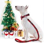 azuza Christmas Buffalo Dog Collar and Leash Set, Classic Plaid Collar with Removable Bowtie and Matching Leash for Puppy Small Dogs