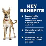 Hill's Science Diet Adult 1-6, Adult 1-6 Premium Nutrition, Wet Dog Food, Chicken & Barley Loaf, 13 oz Can, Case of 12