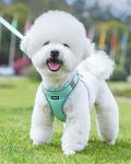Petank Dog Harness for Small Medium Dogs No Pull, Puppy Harness and Leash Set, Step in Dog Harness for Walking, Running, Training, Small Dog Vest(Green, XXS)