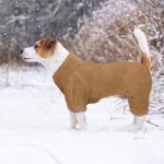 Fuzzy Dog Pajamas Turtleneck Pet Clothes Warm Soft Cozy Lightweight Pet Pjs Dog Sweaters for Small Dogs(Coffee-S/M)