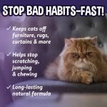 Bodhi Dog 3-in-1 Cat & Kitten Training Aid - Cat Deterrent Spray for Indoor and Outdoor Use - Protect Furniture, Rugs and Plants - Establish Boundaries & Keep Felines Off - Made in USA (8 Fl Oz)