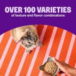 Wellness CORE Signature Selects Shredded Adult Wet Cat Food, Natural, Protein-Rich, Grain Free, 5.3 Ounce, 12 Pack (Chicken & Turkey)