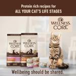 Wellness CORE Signature Selects Shredded Adult Wet Cat Food, Natural, Protein-Rich, Grain Free, 5.3 Ounce, 12 Pack (Chicken & Turkey)