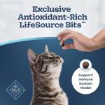 Blue Buffalo Blue Tastefuls Natural Adult Indoor Cat Chicken & Brown Rice Recipe Food for Cats 10 lb