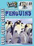 Lots and Lots of Playful Penguins - Cool, Cute and Cuddly Penguins Penguins