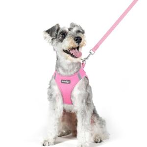 rabbitgoo Dog Harness Small Medium Sized and Leash Set, Step in Soft Light Puppy Vest, Breathable Mesh Pet Harness, Reflective for Safe Easy Walking, Light Pink XL