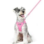 rabbitgoo Dog Harness Small Medium Sized and Leash Set, Step in Soft Light Puppy Vest, Breathable Mesh Pet Harness, Reflective for Safe Easy Walking, Light Pink XL
