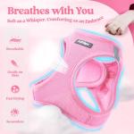 rabbitgoo Dog Harness Small Medium Sized and Leash Set, Step in Soft Light Puppy Vest, Breathable Mesh Pet Harness, Reflective for Safe Easy Walking, Light Pink XL