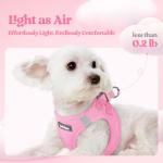 rabbitgoo Dog Harness Small Medium Sized and Leash Set, Step in Soft Light Puppy Vest, Breathable Mesh Pet Harness, Reflective for Safe Easy Walking, Light Pink XL