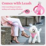 rabbitgoo Dog Harness Small Medium Sized and Leash Set, Step in Soft Light Puppy Vest, Breathable Mesh Pet Harness, Reflective for Safe Easy Walking, Light Pink XL