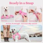 rabbitgoo Dog Harness Small Medium Sized and Leash Set, Step in Soft Light Puppy Vest, Breathable Mesh Pet Harness, Reflective for Safe Easy Walking, Light Pink XL