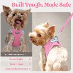 rabbitgoo Dog Harness Small Medium Sized and Leash Set, Step in Soft Light Puppy Vest, Breathable Mesh Pet Harness, Reflective for Safe Easy Walking, Light Pink XL