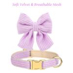 Dog Collar and Leash Set - Metal Buckle Adjustable Puppy Collar, Cute Dog Collar and Leash Set with Flower Bow Tie, Puppy Collar with 5 FT Leash, Soft & Comfortable Collar for Small Medium Dogs-S
