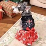 CuteBone Christmas Dog Dresses Velvet Holiday Small Dogs Clothes Onesie Pet Apparel Girl Puppy Skirt with Bow Hair Rope CVA54M-D