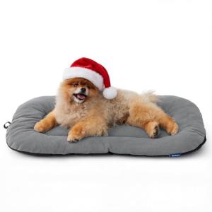 Bedsure Washable Dog Crate Pad for Small Dogs, Anti-Slip Puppy Kennel Dog Bed for Crate - Ultra Soft Fleece Flat Thin Pet Mat (Not Chew Proof), Light Grey 23"x17"