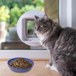 [8 Pack] Cat Dishes Whisker Friendly, Shallow Wide Pet Food and Water Bowl, Durable Wheat Straw Cat Bowls for Indoor Outdoor Cats