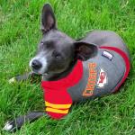 Kansas City Chiefs Hoodie Tee Shirt