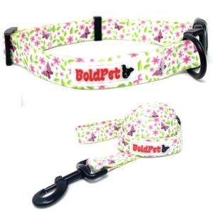 BOLDPET Dog Collar and Leash Set - Durable Polyester Material -Adjustable -Safe Metal Buckle-Cute Summer Dog Leash and Collar Set for Small, Medium and Large Dogs