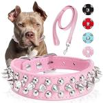 Dog Collars for Medium Dogs with Leash, Epesiri Spiked Dog Collar for Large Dogs, Girl Pink Dog Collar, Studded Rivet Pit Bull Leather Dog Collar Durable Cat Collar for Small Medium Large Pet Gift
