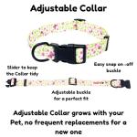 BOLDPET Dog Collar and Leash Set - Durable Polyester Material -Adjustable -Safe Metal Buckle-Cute Summer Dog Leash and Collar Set for Small, Medium and Large Dogs
